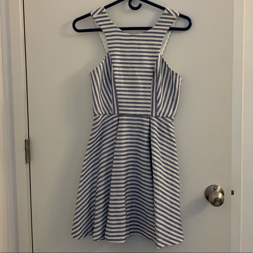 Blue and white skater dress